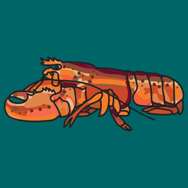 Lobster-Animation